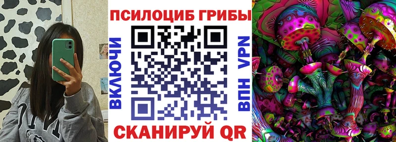 Псилоцибиновые грибы GOLDEN TEACHER  цена   Бодайбо 